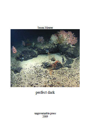 Perfect Dark by Susan Maurer